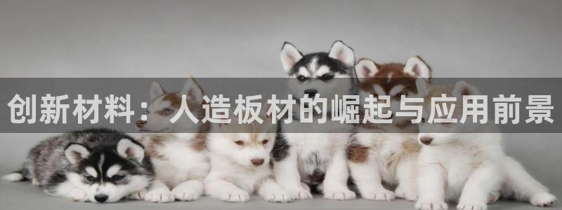 沐鸣总代