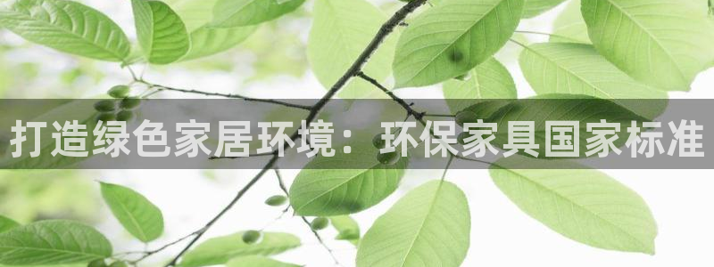 沐鸣如何注册：打造绿色家居环境：环保家具国家标准