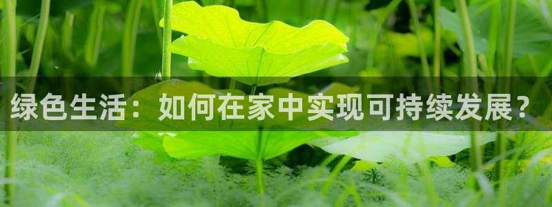 沐鸣平台服务中心是干嘛的：绿色生活：如何在家中实现可持续发展