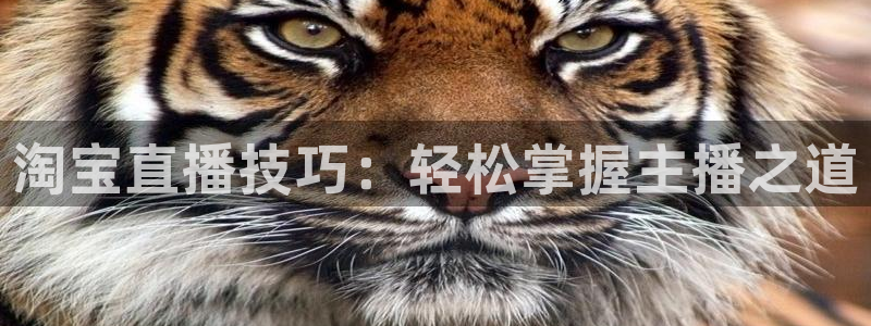 篮球直播jrkan：淘宝直播技巧：轻松掌握主播之道