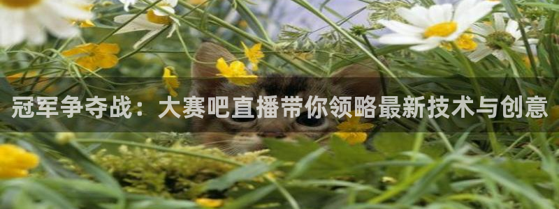 jrkan直播：冠军争夺战：大赛吧直播带你领略最新技术与创意