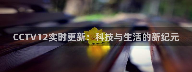 jrkan2023直播体育网：CCTV12实时更新：科技与生活的新纪元