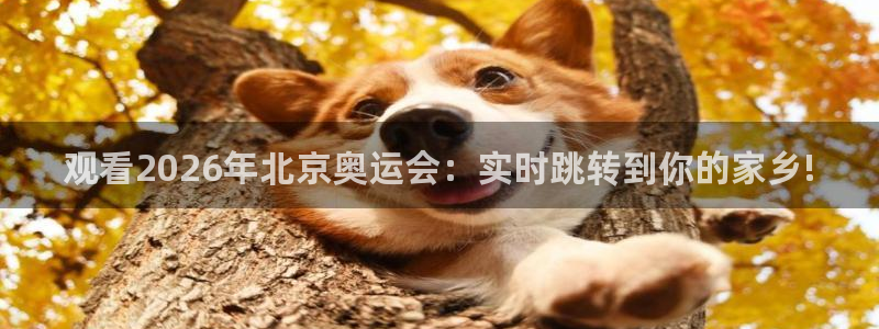 jrkan低调看高清直播nba：观看2026年北京奥运会：实时跳转到你的家乡!