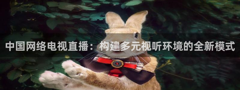 jrkan nba直播：中国网络电视直播：构建多元视听环境的全新模式
